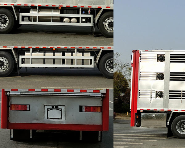 CL5310CCQ6SS\(yn)ݔ܇(ch)